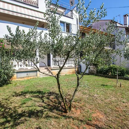Apartment Apartman Mila *
